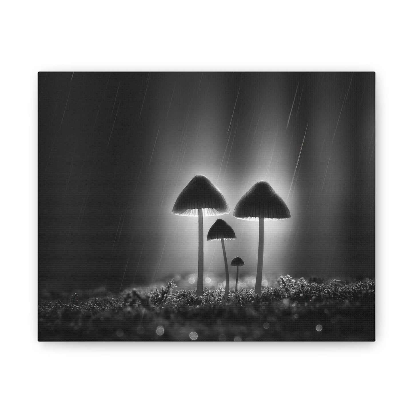 Black and White Mushroom Canvas Wall Art — Moody Fungi Forest Photography