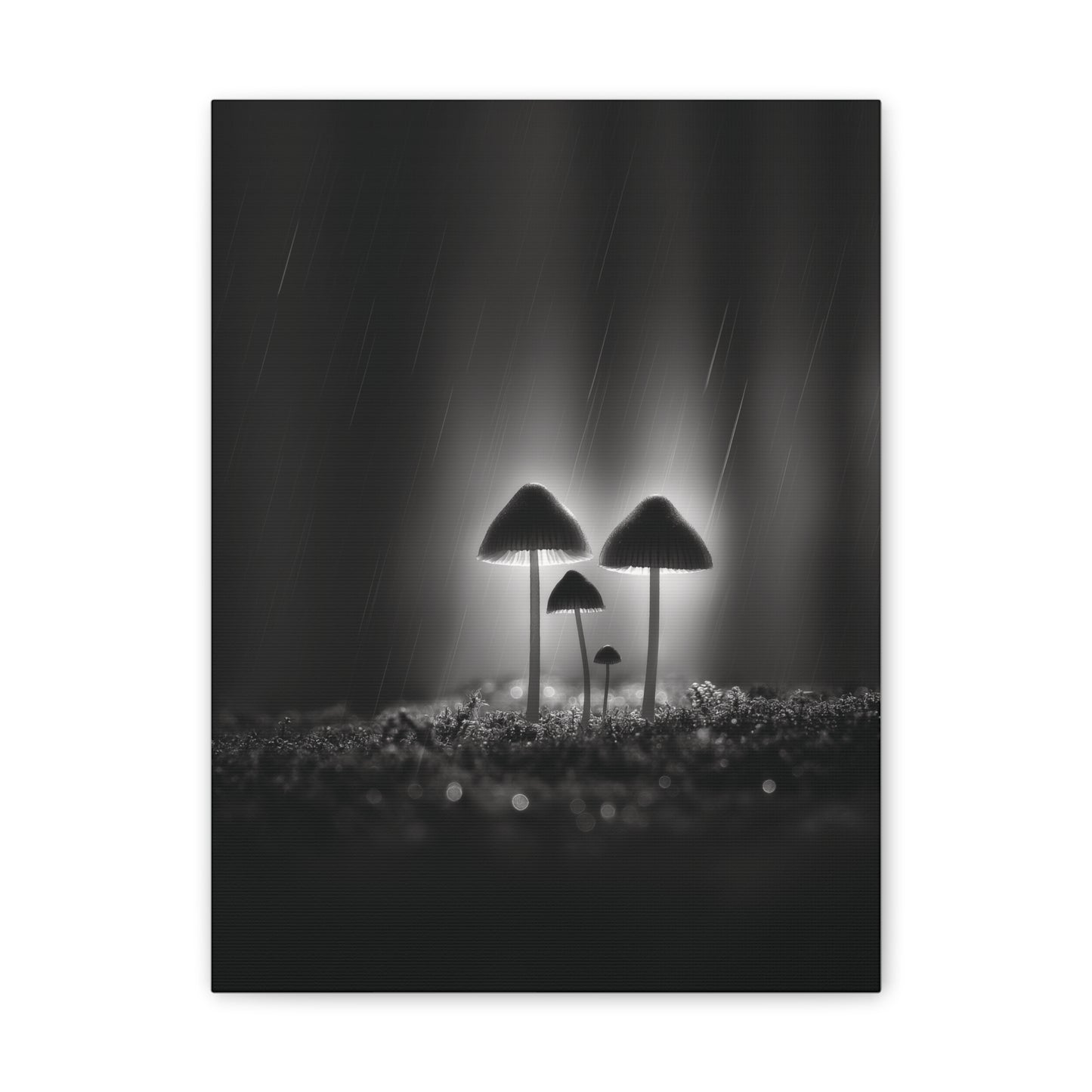 Black and White Mushroom Canvas Wall Art — Moody Fungi Forest Photography