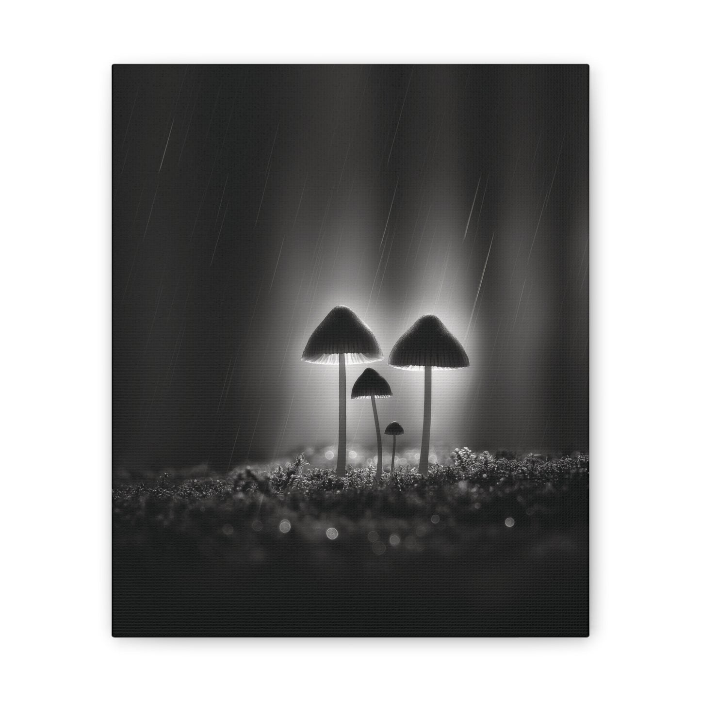 Black and White Mushroom Canvas Wall Art — Moody Fungi Forest Photography