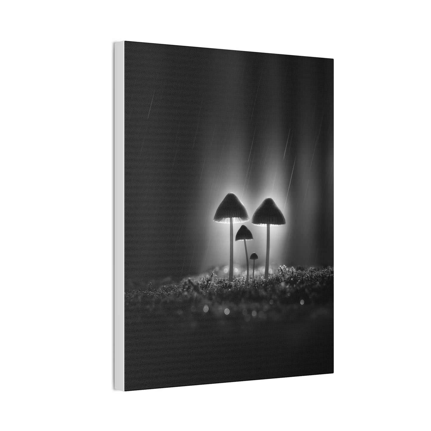 Black and White Mushroom Canvas Wall Art — Moody Fungi Forest Photography