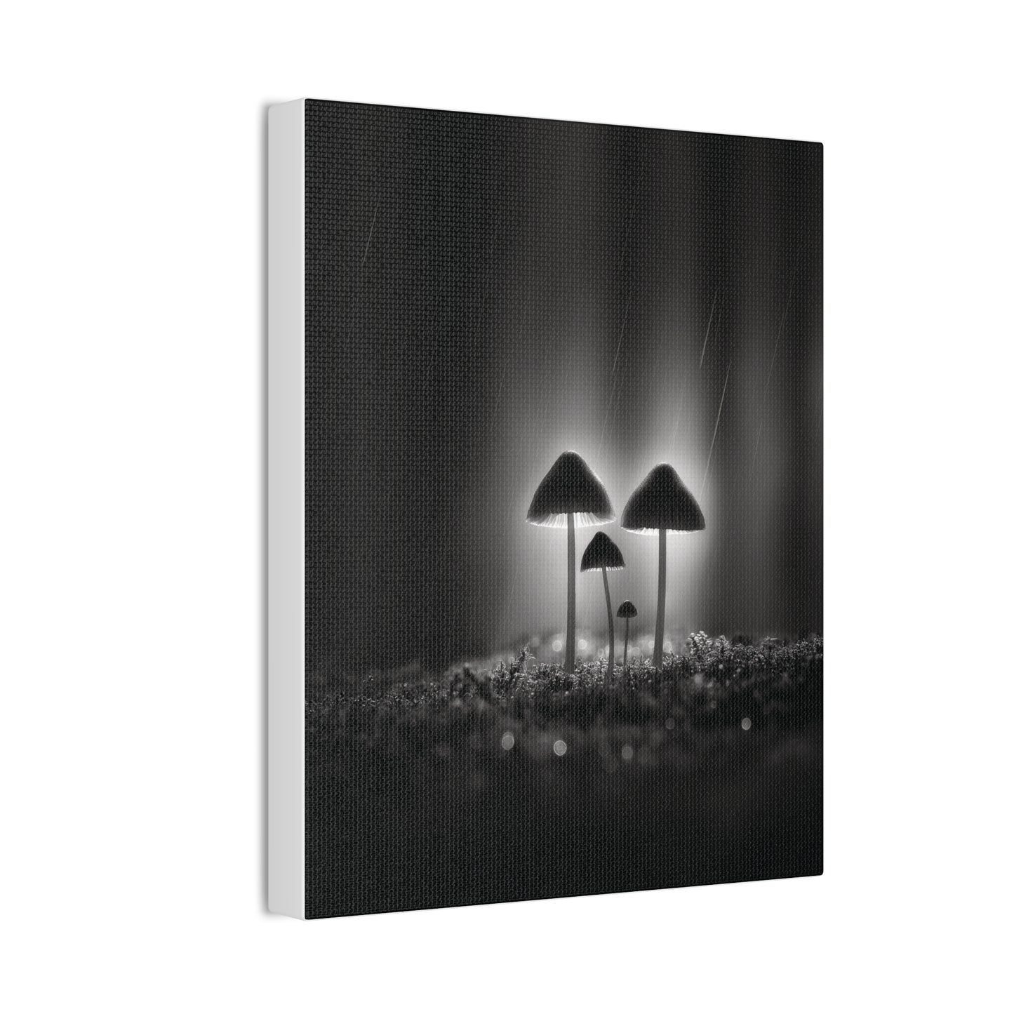 Black and White Mushroom Canvas Wall Art — Moody Fungi Forest Photography
