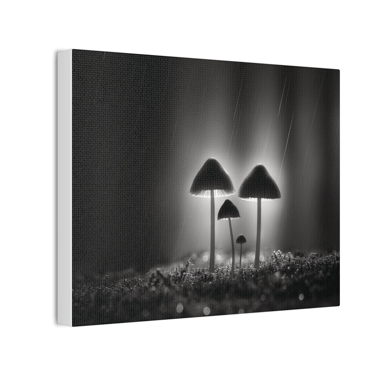 Black and White Mushroom Canvas Wall Art — Moody Fungi Forest Photography