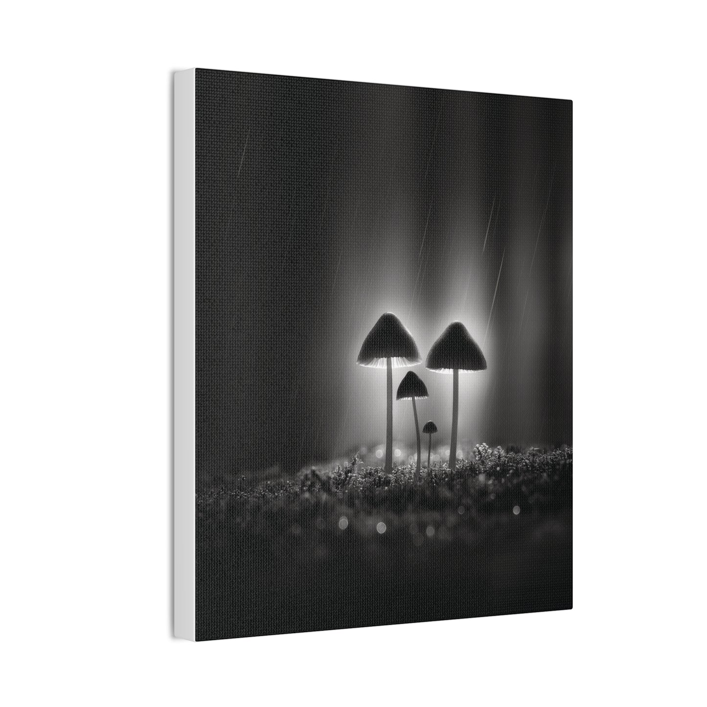 Black and White Mushroom Canvas Wall Art — Moody Fungi Forest Photography
