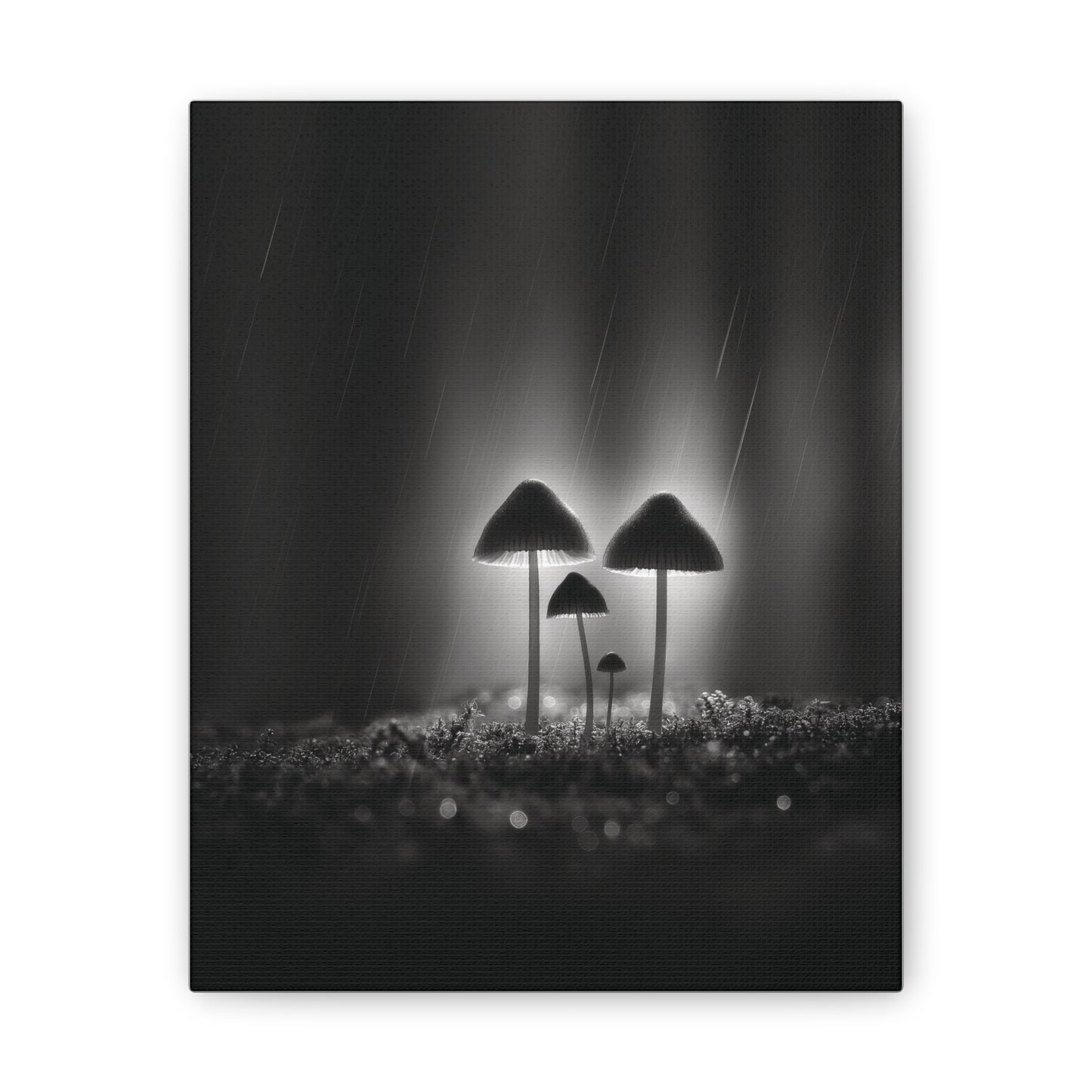 Black and White Mushroom Canvas Wall Art — Moody Fungi Forest Photography